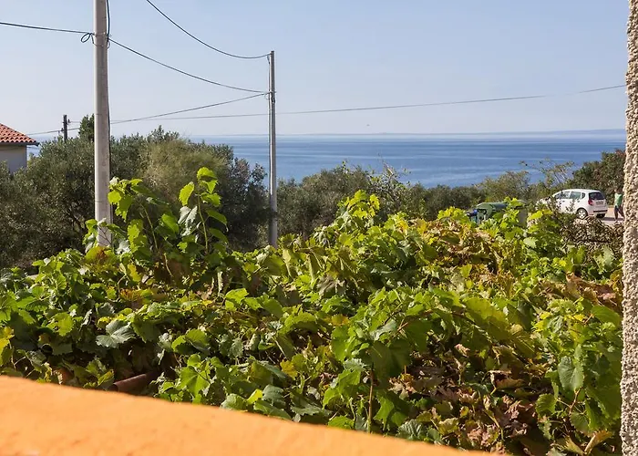Apartment Agava Miholascica