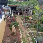 Agava