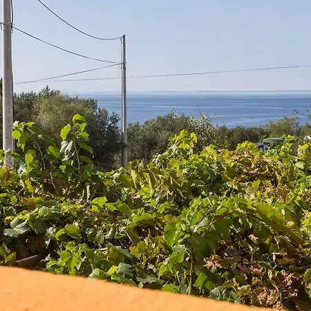 Lejlighed Sea View Agava I Near Pebble & Private Parking Miholascica