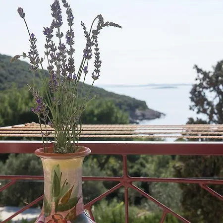 Lejlighed Sea View Agava I Near Pebble & Private Parking Miholascica